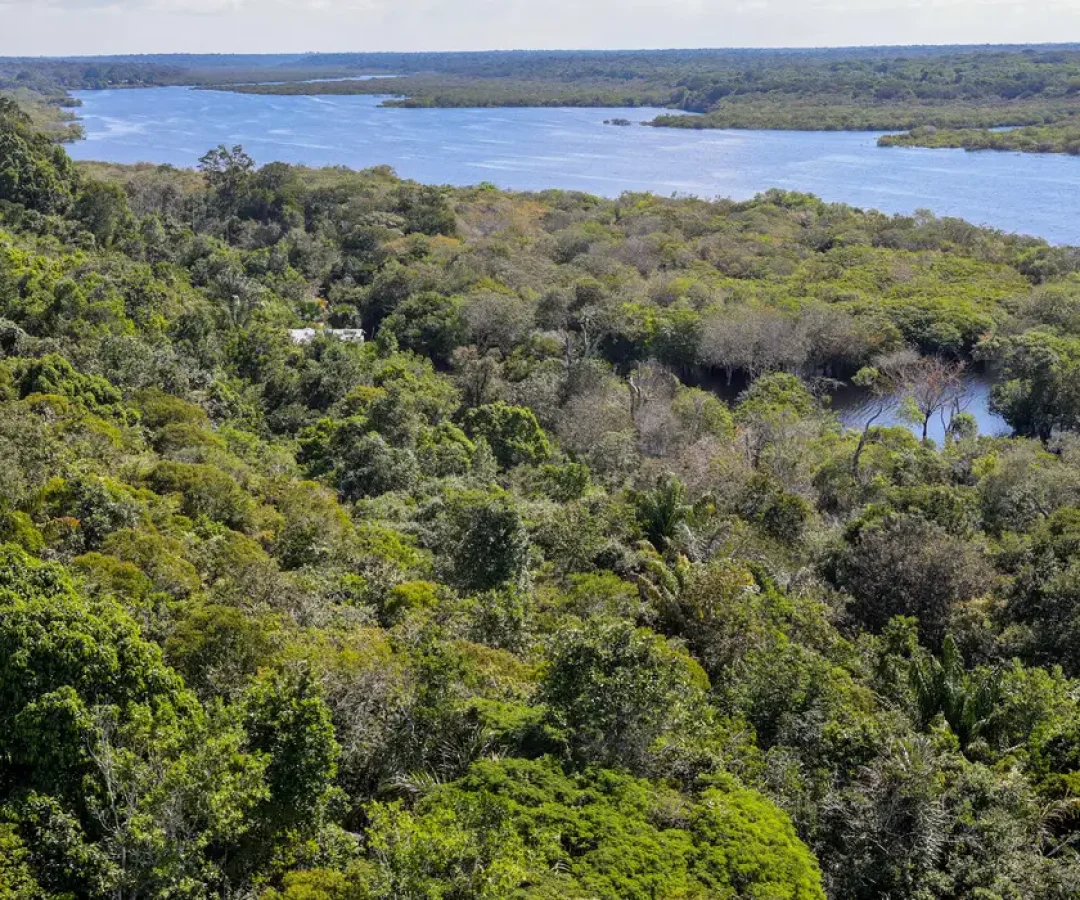 Fabio Rodrigues-Pozzebom/Agência Brasil
